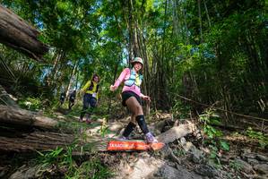 BIB: 
                            <button type="button" onclick="openModal(19388048)" class="btn btn-primary btn-sm float-right btn-popup" data-toggle="modal" data-target=".modal-high-quality">
                        <i class="fas fa-shopping-cart"></i> Add to Cart
                    </button>
                                            <button type="button" onclick="isThisMe(19388048, true)" class="btn btn-success btn-sm float-right btn-popup btn-isme hidden" data-toggle="tooltip" data-placement="bottom" title="นี่คือรูปของคุณใช่ไหม คลิกที่นี่เพื่อเอาเข้าอัลบั้ม">
                        <i class="fas fa-plus"></i> Add to album
                    </button>
                    <button type="button" onclick="isThisMe(19388048, false)" class="btn btn-warning btn-sm float-right btn-popup btn-isnotme hidden">
                        <i class="fas fa-ban"></i> Remove from album
                    </button>